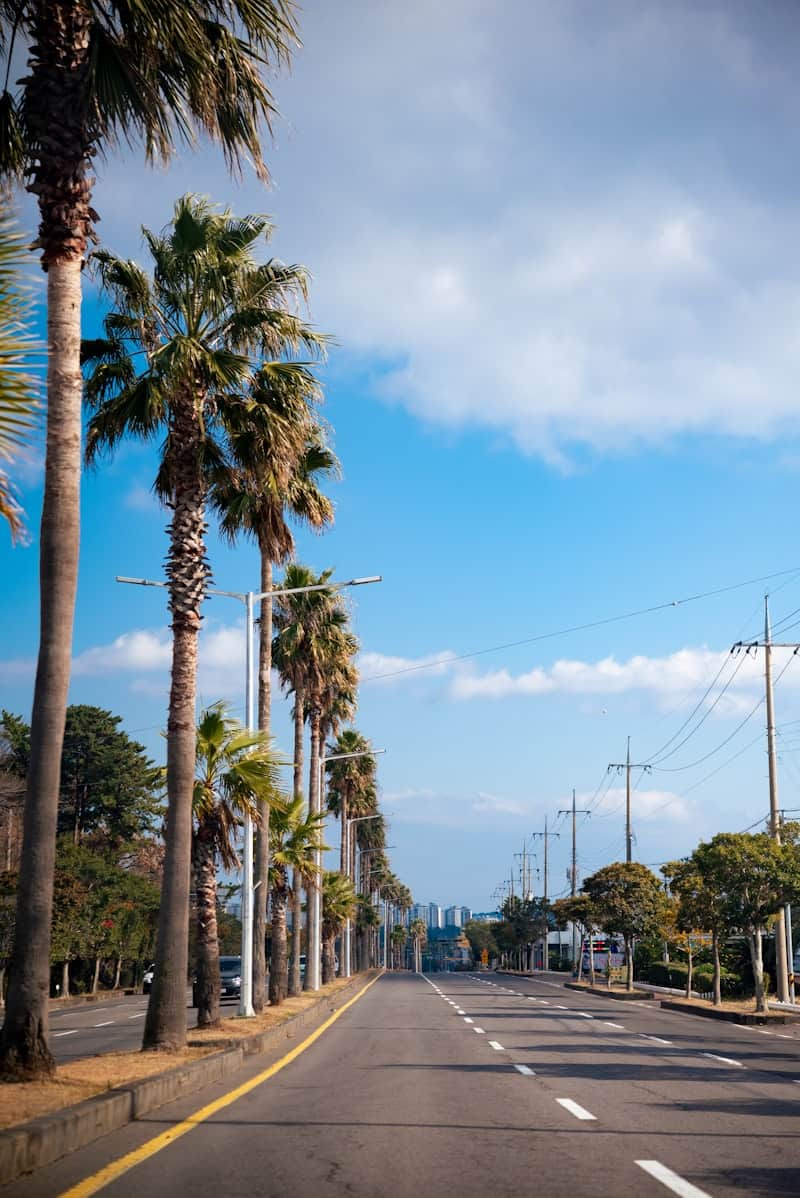 Explore Jeju by bus
